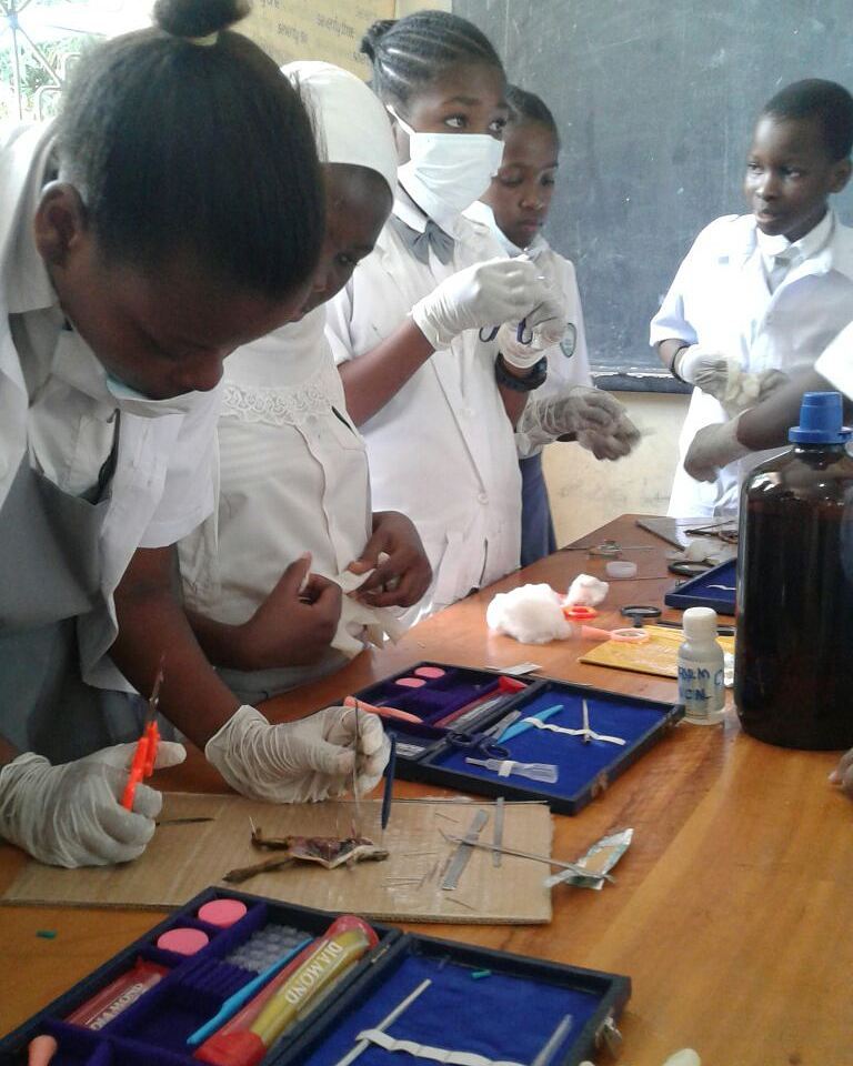 Home Macedonia Schools